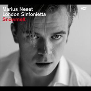MARIUS NESET / マリウス・ネセット / Snowmelt
