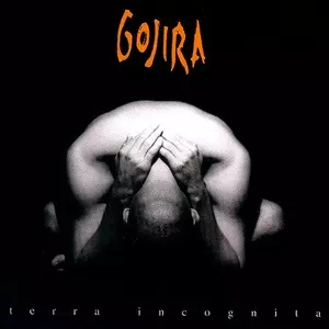 GOJIRA / ゴジラ / TERRA INCOGNITA<VINYL>