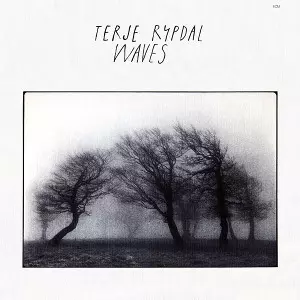 TERJE RYPDAL / テリエ・リピタル / Waves
