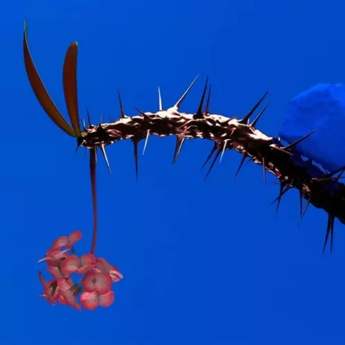 FLUME / SKIN COMPANION EP II