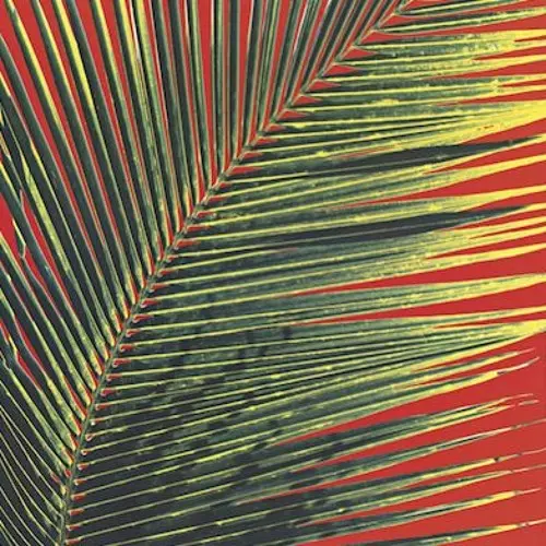 BLAME IT ALL ON LOVE (数量限定/2024年リプレス盤/オレンジ