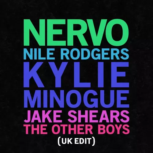 NERVO / ナーヴォ / THE OTHER BOYS (180G)