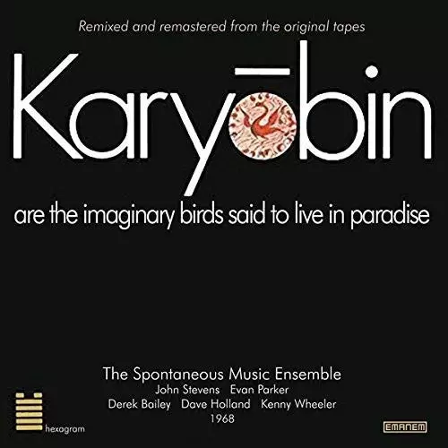 SPONTANEOUS MUSIC ENSEMBLE / スポンティニアス・ミュージック・アンサンブル / Karyobin