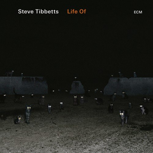 STEVE TIBBETTS / スティーヴ・ティべッツ / Life Of