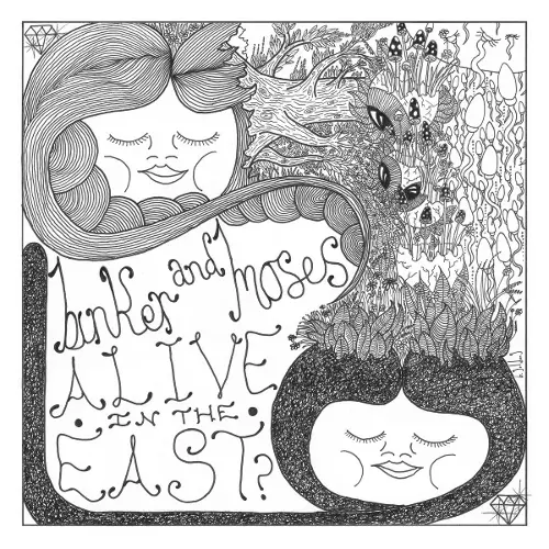 BINKER AND MOSES / ビンカー・アンド・モーセス / Alive In The East?(LP)