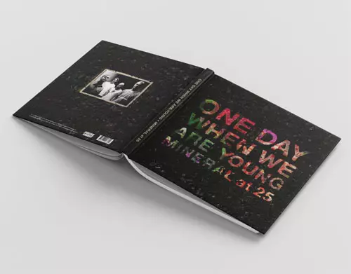 MINERAL / ミネラル / ONE DAY WHEN WE ARE YOUNG: MINERAL AT 25 (BOOK+10")