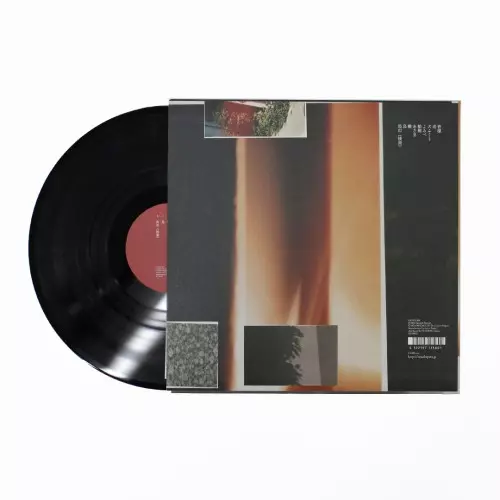 折坂悠太　たむけ　LP レコード たむけ(アナログ)/YUTA ORISAKA/折坂悠太/2020.11.3「レコードの