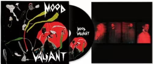 HIATUS KAIYOTE / ハイエイタス・カイヨーティ / Mood Valiant "日本盤CD"