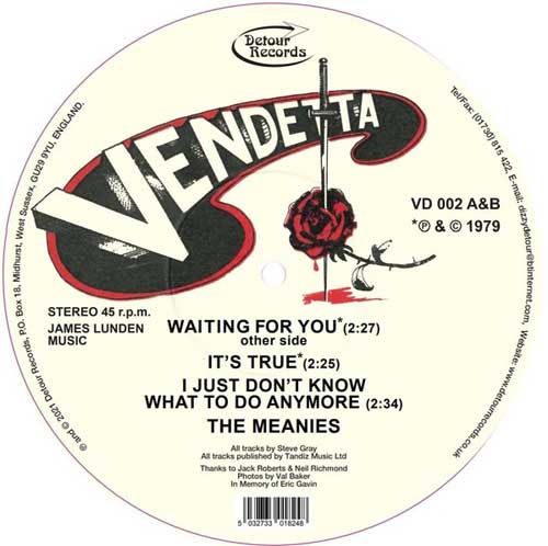 MEANIES (UK) / ミーニーズ / WAITING FOR YOU (7"/PICTURE DISC)
