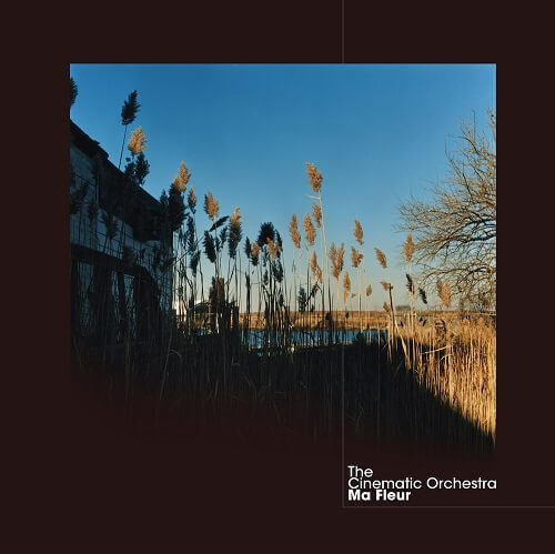 CINEMATIC ORCHESTRA / シネマティック・オーケストラ / MA FLEUR (2LP CLEAR VINYL)