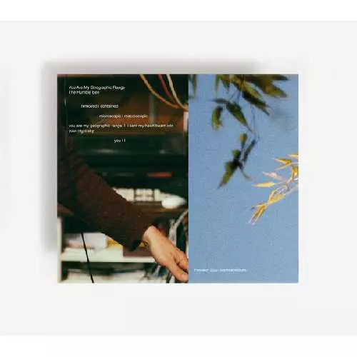 HUMBLE BEE / YOU ARE MY GEOGRAPHIC RANGE