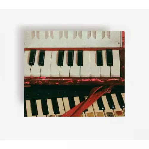 HUMBLE BEE / YOU ARE MY GEOGRAPHIC RANGE