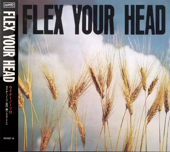 FLEX YOUR HEAD (帯・ライナー付き)/V.A (DISCHORD RECORDS