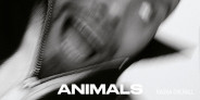 カッサ・オーバーオール「Animals」LP&CD発売