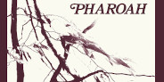 【輸入盤LP入荷】<予約>未発表ライヴ音源収録!ファラオ・サンダース「Pharoah」が豪華ボックス仕様でLP&CD再発