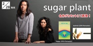sugar plant、名作『happy』『dryfruit 』がカセットにて再発決定!