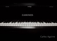 カルロス・アギーレ『CAMINOS』待望のアナログ・レコード化!