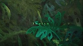  TUNICO トゥニコ『TUNICO』現代版クアルテート・ノーヴォともいえる会心の一枚 [レコード入荷]