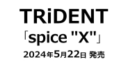 TRiDENT / spice"X" オリジナル特典 缶バッジ付	