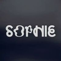 【CLUB/DANCE】SOPHIE、初期作品集「PRODUCT」がスペシャル・エディションでリ・リリース