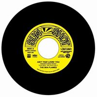 大幅値下げ！ギガレア盤 SKA FLAMES プロモオンリー白盤 7インチ THE SKA FLAMESが3ヶ月連続で7インチ·シングルをリリース