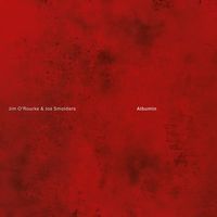 【NOISE/AVANT】ジム・オルークが蘭サウンドアーティストと3年を費やし完成させたコラボレーション・アルバム。 JIM O'ROURKE & JOS SMOLDERS / ALBUMIN