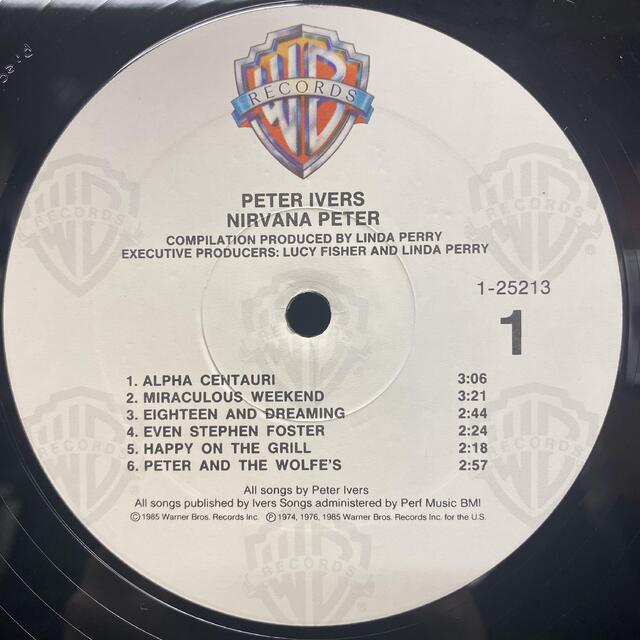 Peter Ivers - Terminal Love レコード - 洋楽