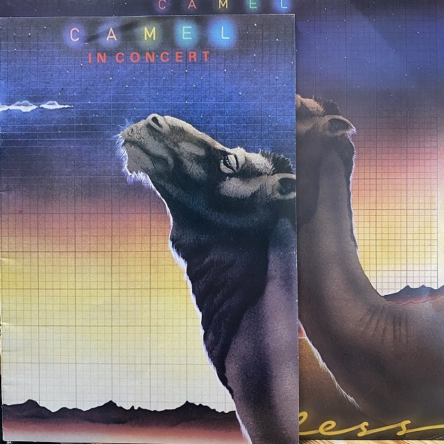 【本日の一枚(特別編)】全買い推奨!? ~ CAMEL必殺コンプリート・コレクションここに公開! ディスクユニオン新宿ロックレコードストア