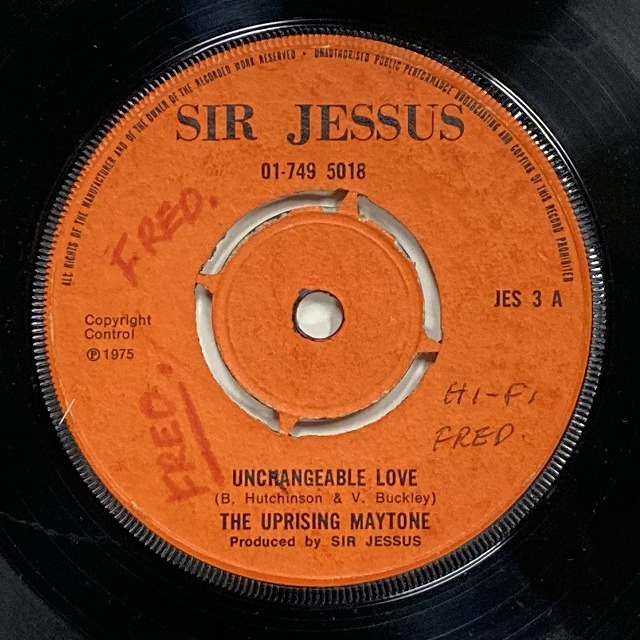 PALEMINA/Living on skyjuice REGGAE レア盤 PALEMINA/Living on skyjuice REGGAE レア盤