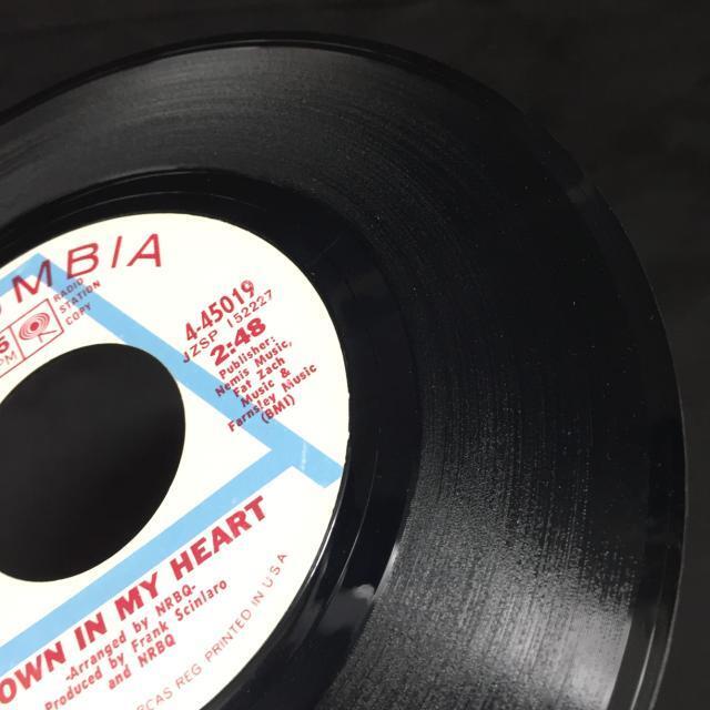 NRBQ / DOWN IN MY HEART 5