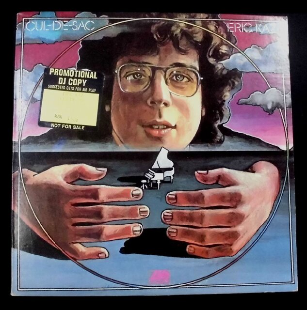 レコード Ruthann Friedman フォーク レアグルーヴ SSW