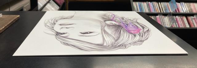 激レア新品　PURE AQUAPLUS レコード PCゲーム中古レコード】 AQUAPLUS 稀少廃盤レコード 「Suara/ヌエドリ