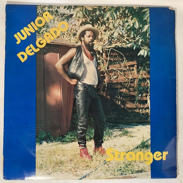 REGGAE】-中古レコード、12インチ- 80'Sダンスホール中心に