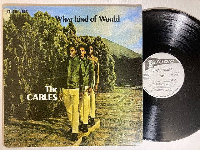 レゲエレコード300枚まとめ売り REGGAE】-中古レコード- 新着300枚以上出品しました : ディスク