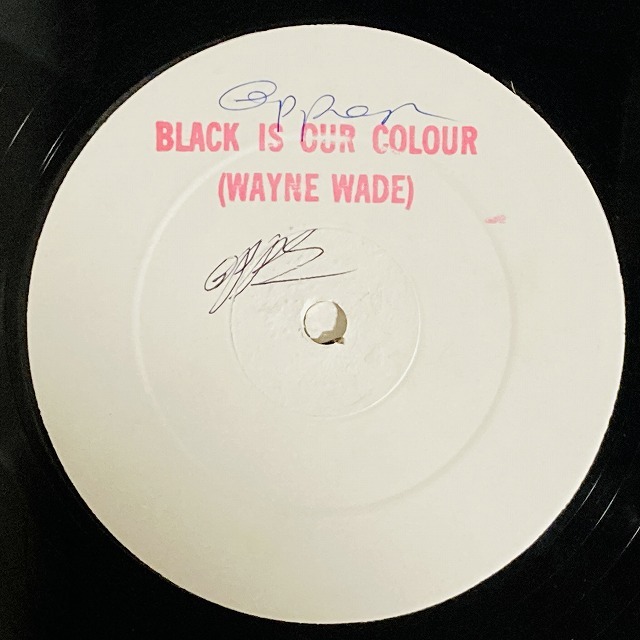 WAYNE WADE / BLACK IS OUR COLOUR / POLITICS / POVERTY IN THE GHETTO