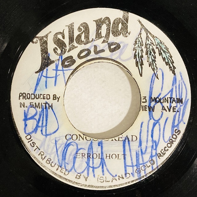ERROL HOLT / CONGO DREAD