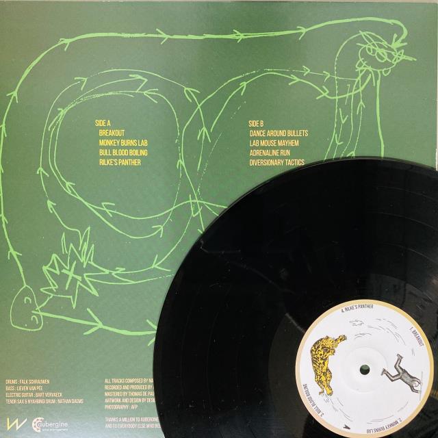 PAULO DINIZ LPブラジルオリジナル盤 BRAZIL/WORLD】-中古レコード/7インチ- ブラジル、ワールドの