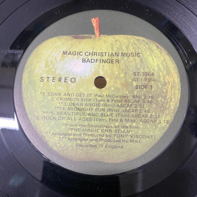 shield品2枚セット　MAGIC MIKE レコード shield品2枚セット MAGIC MIKE レコード