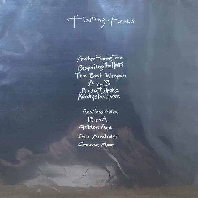 本日の一枚】あの時買い逃していたアナタに…… ～ FLAMING TUNESと