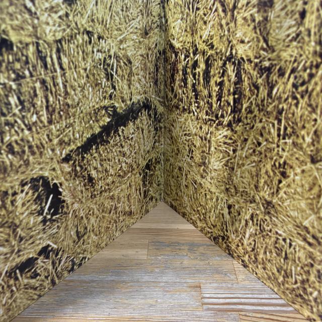 本日の一枚】ジャーマン・レアリティー ～ 価格高騰が止まらない