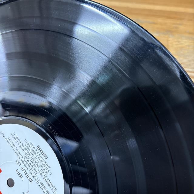 本日の一枚】王道プログレLOVE！part.2 ～ 新着品の中からオススメの