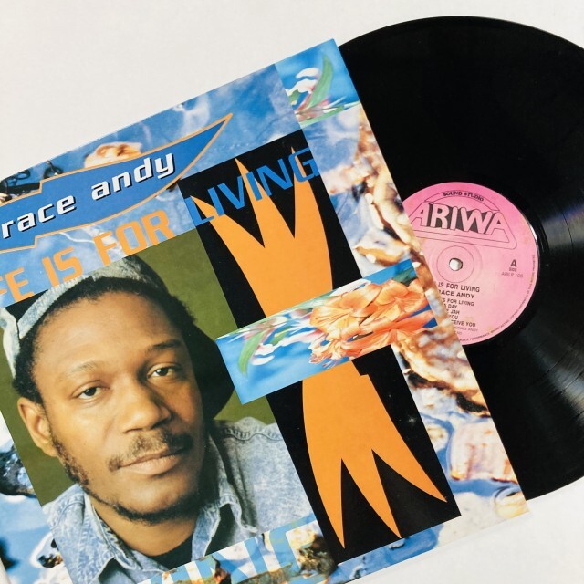 REGGAE】-中古レコード- レゲエの新着中古レコードが100点近く