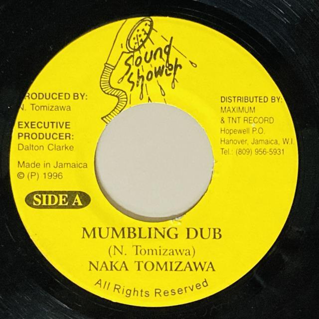 PAULO DINIZ LPブラジルオリジナル盤 BRAZIL/WORLD】-中古レコード/7インチ- ブラジル、ワールドの