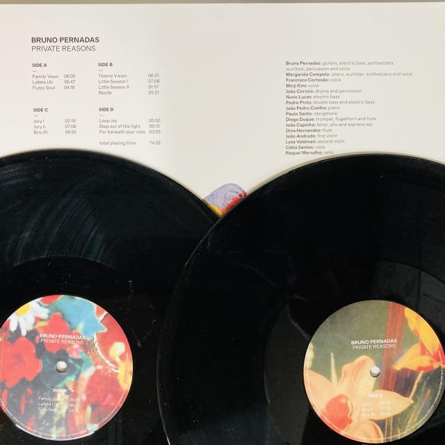 PAULO DINIZ LPブラジルオリジナル盤 PAULO DINIZ LPブラジルオリジナル盤 Paulo Diniz Lp