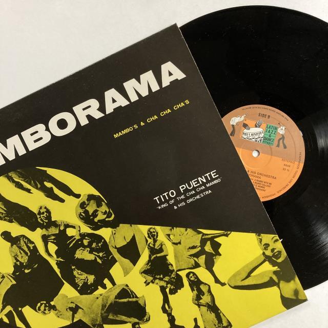 ワールド・ミュージック　CD41枚セット　中東　アジア　ヨーロッパ　ラテン　南米 WORLD MUSIC】-中古CD- 沖縄や民謡、ワールド・ミュージックの中古CDが