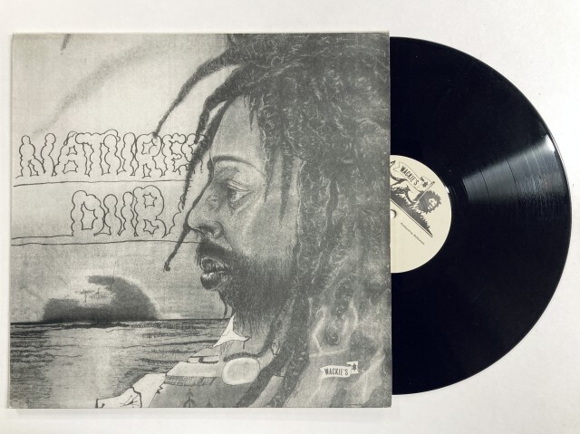 本日の新着レコード】2月初めはレゲエ＆サルサ定番レコードを中心に50