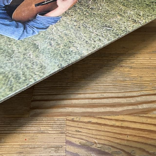 本日の一枚】SSWの深い森 ～ ブリティッシュSSWのいぶし銀名作たちを