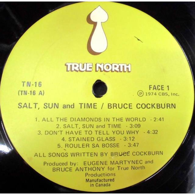 レコード SSW名盤 Bruce Cockburn フォーク レアグルーヴ LP レコード SSW名盤 Bruce Cockburn フォーク レアグルーヴ LP