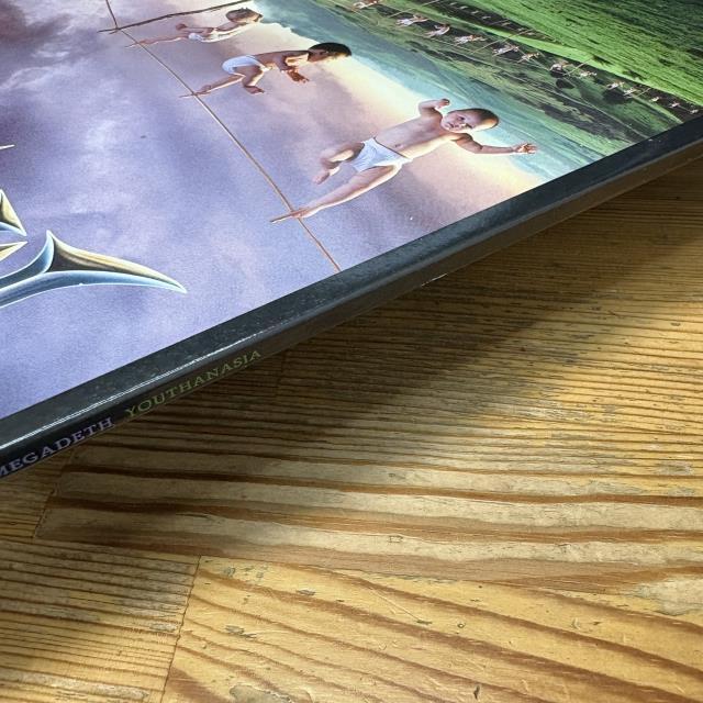 本日の一枚】灼熱の近年鋼鉄盤 ～ MEGADETH、IRON MAIDEN他、超希少