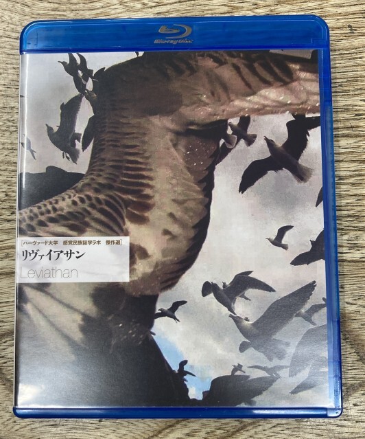2026/5/2(土)中古ブルーレイ廃盤特集開催！ : ディスクユニオンシネマ